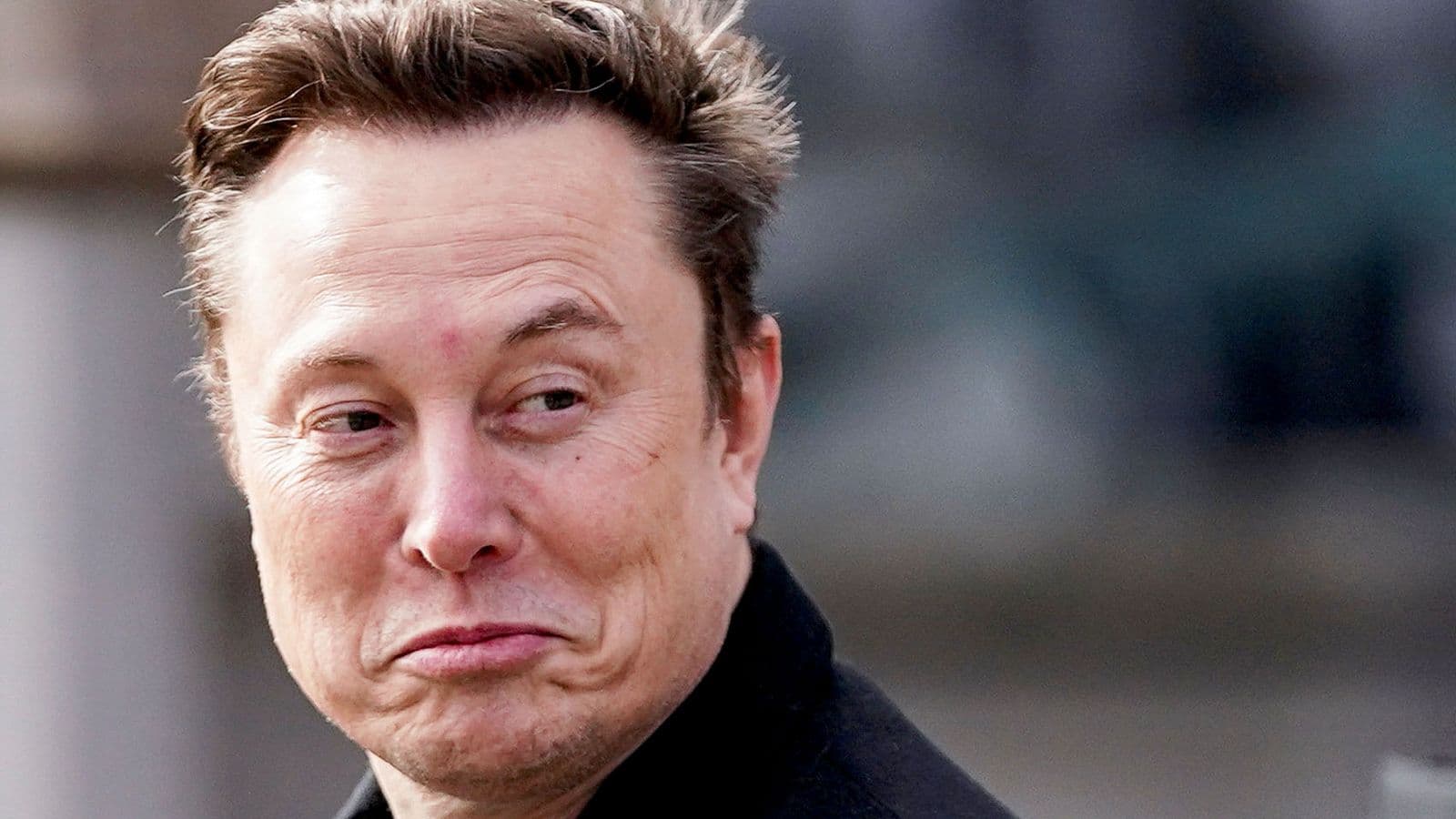 Fact Check: Elon is a traitor