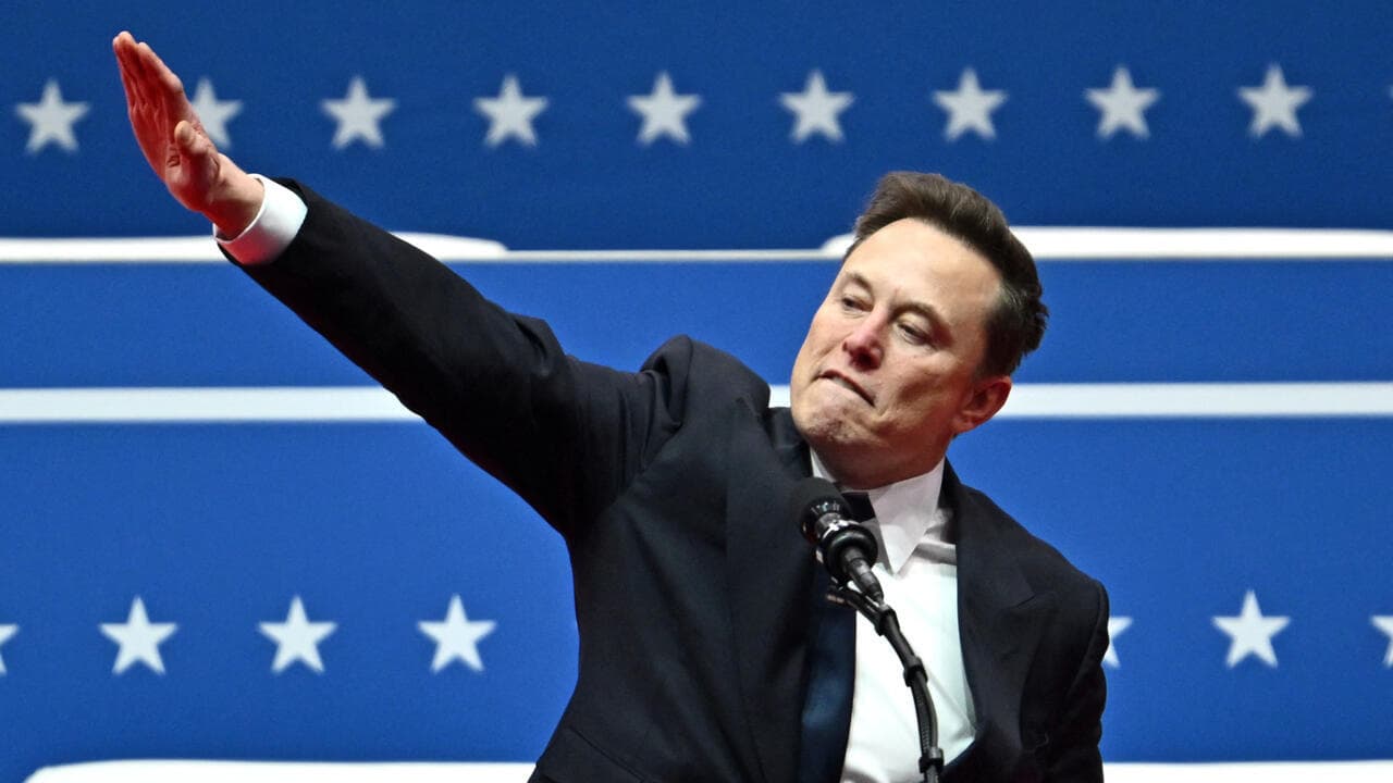 Fact Check: elon musk is a nazi