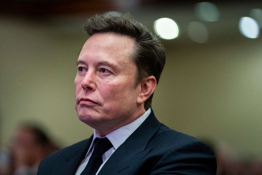 Fact Check: Elon musk is ugly