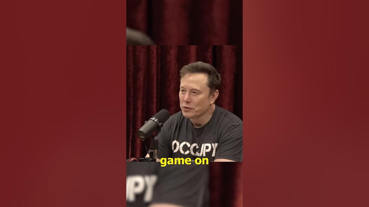 Fact Check: Elon musk plays his own videogames