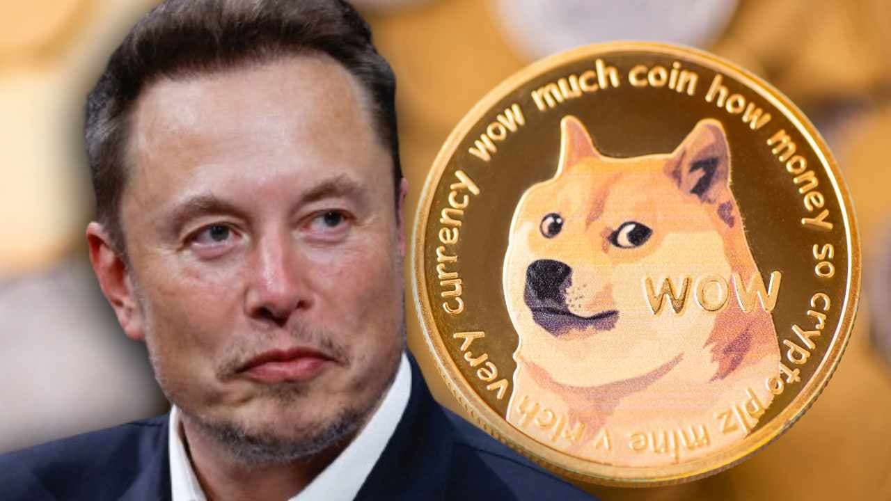 Fact Check: Elon musks doge is made to cut poor people off of money