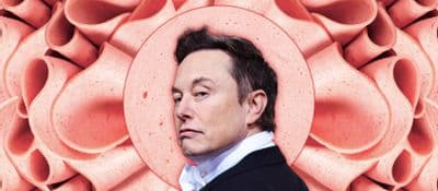 Fact Check: Elon musks grandparents were nazis
