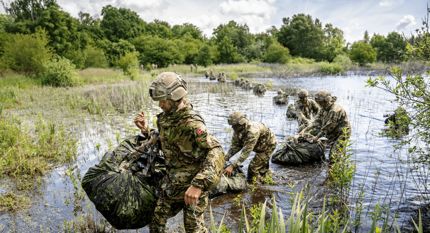 Fact Check: Estonia can gather up to 250k soldiers during war time.