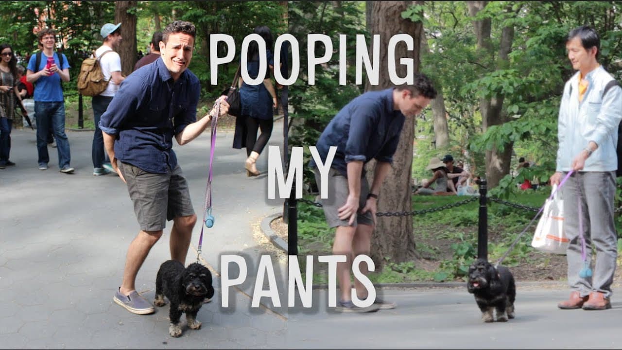 Fact Check: I shit in my pants as an adult