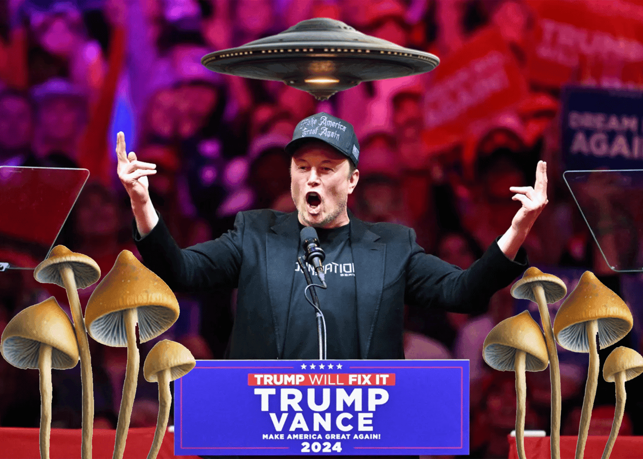 Fact Check: Is Elon Musk a fascist?