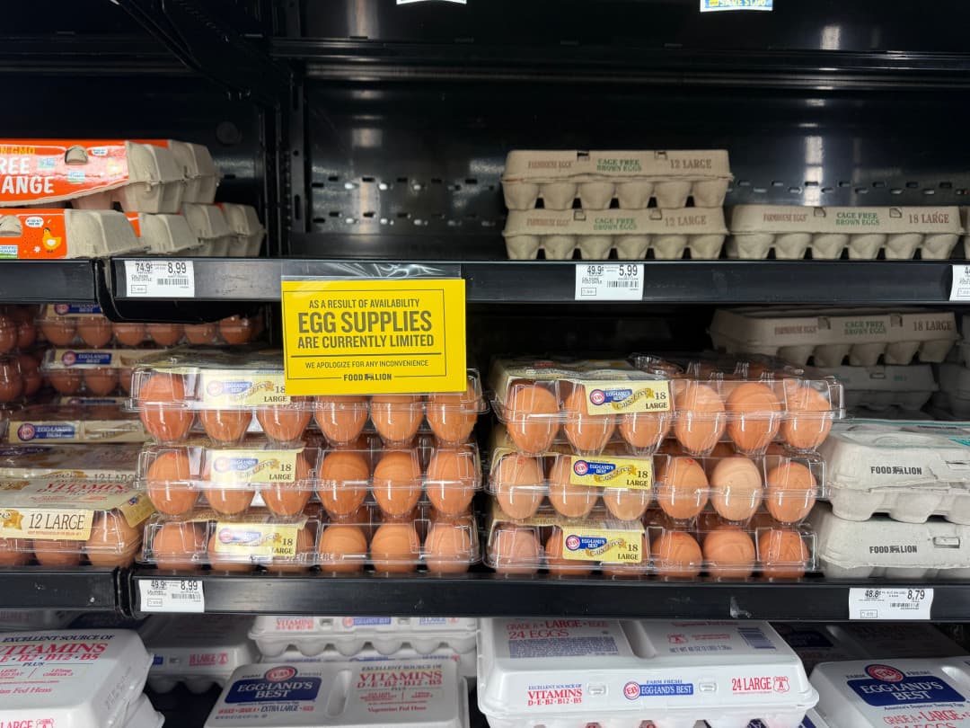 Fact Check: Is there an egg shortage in USA ? 
