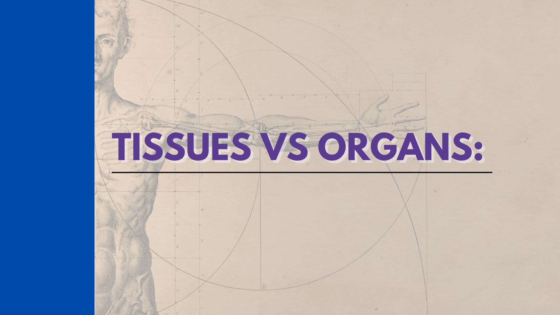 Fact Check: Israel steals palastenian organs