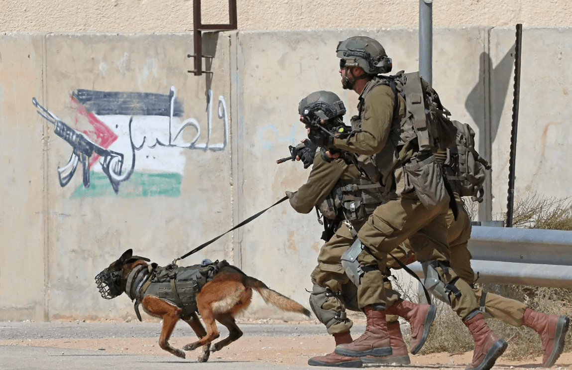 Fact Check: Israel trains dogs to rape palestinians