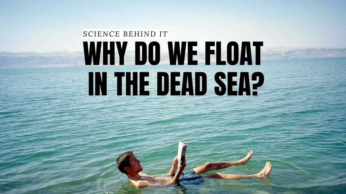 Fact Check: It is effortless to float in the dead sea.