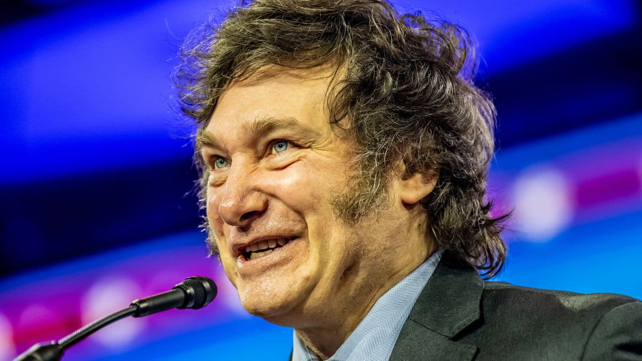 Fact Check: Javier Milei is stupid
