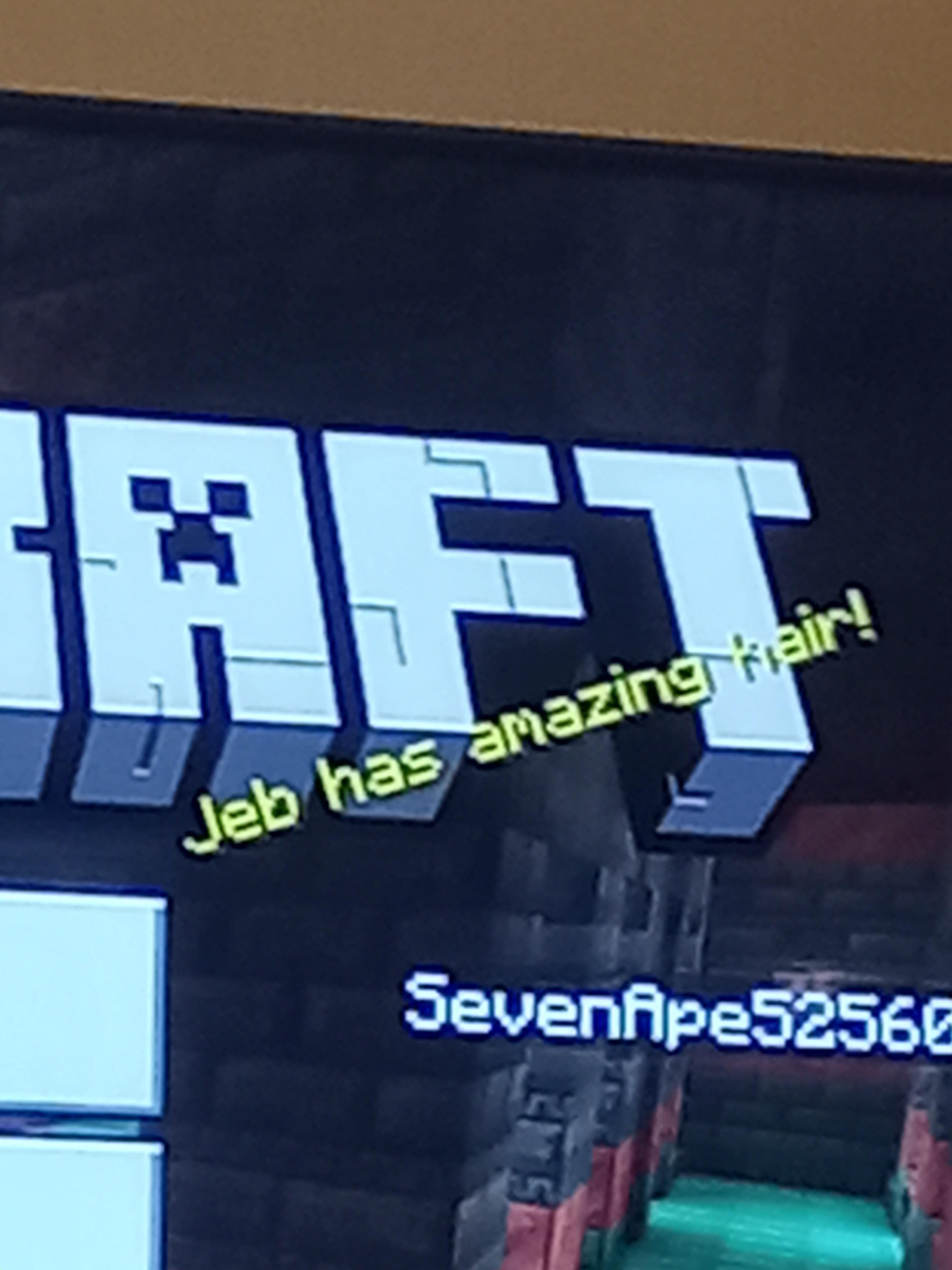 Fact Check: Jeb has an amazing hair!