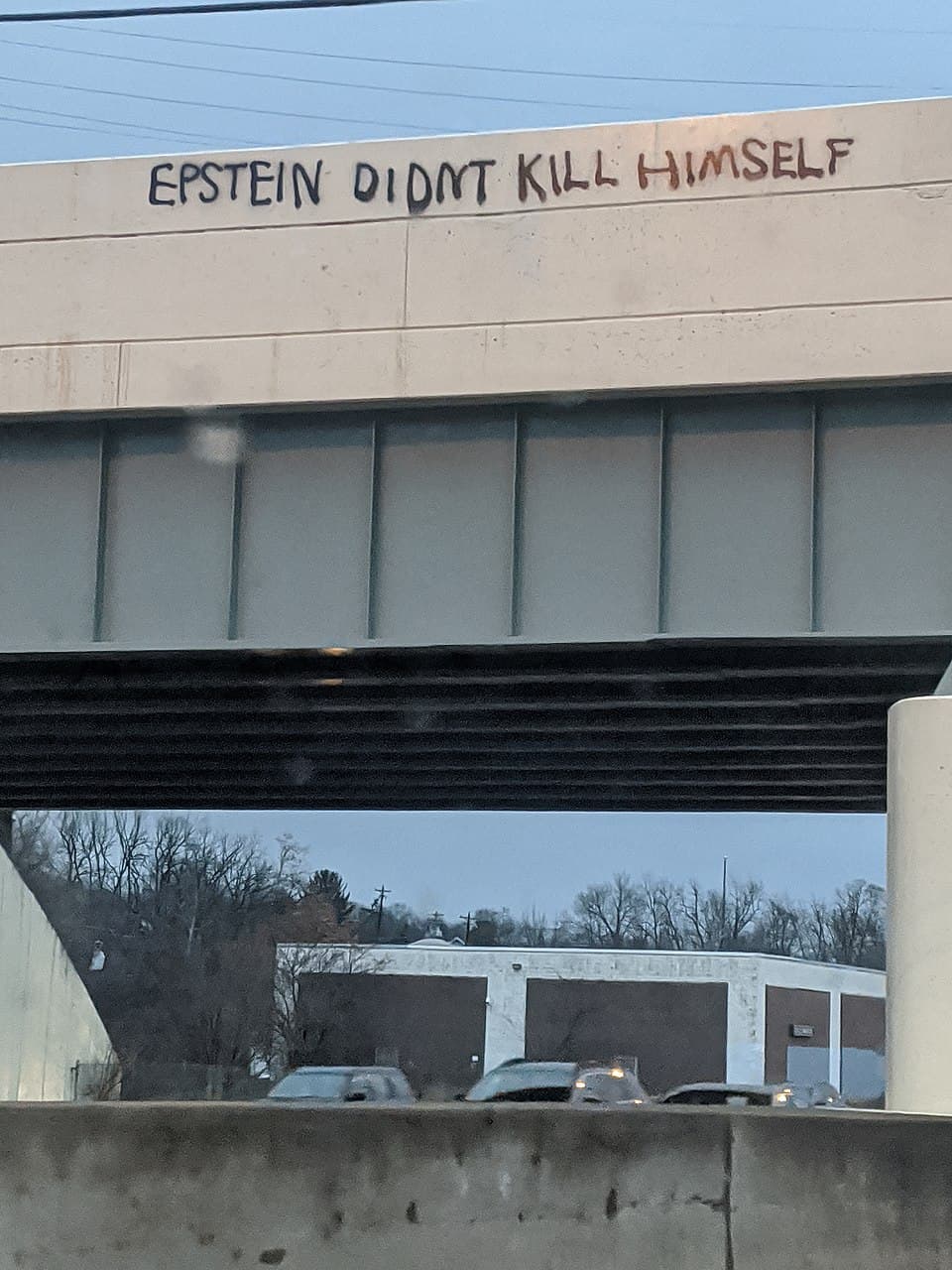 Fact Check: Jeffrey epstein did not kill himself.
