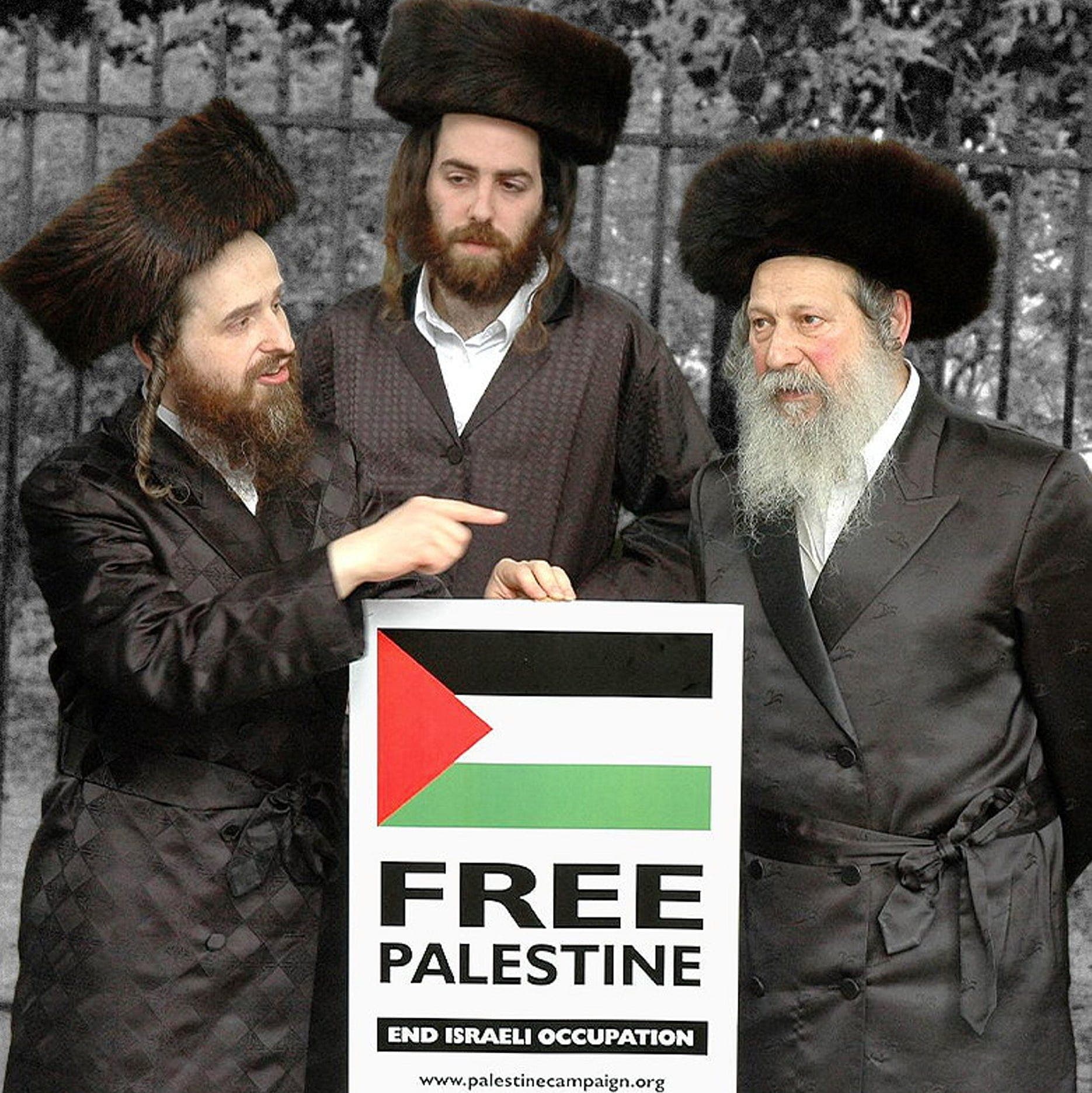 Fact Check: Jews are European and not from palestine