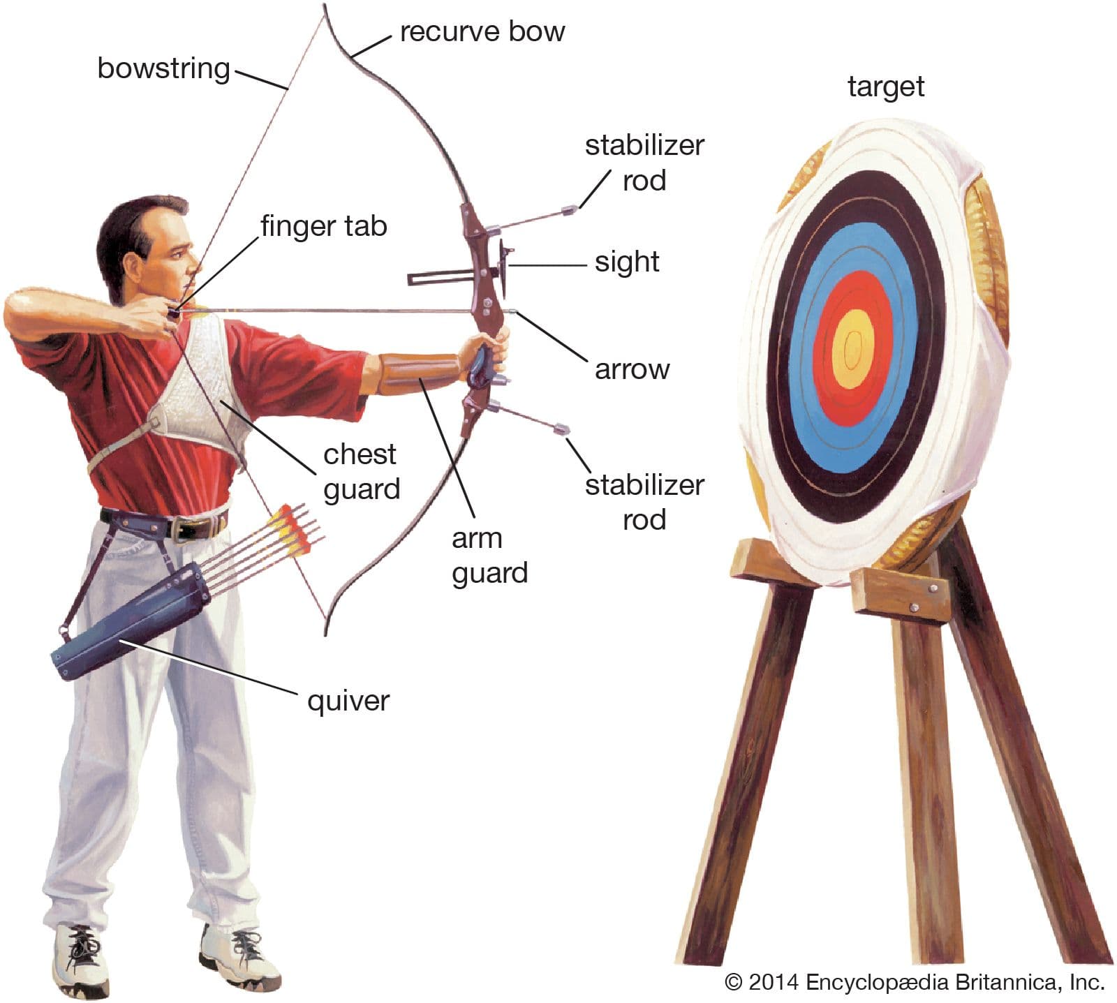 Fact Check: medieval crossbows were more powerful than longbows
