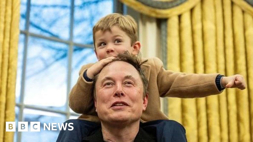 Fact Check: Musk uses his child as a human shield