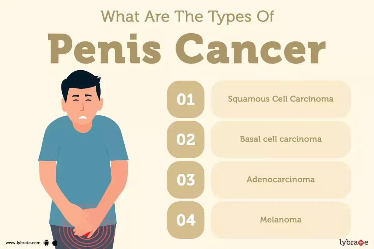 Fact Check: My penis is huge