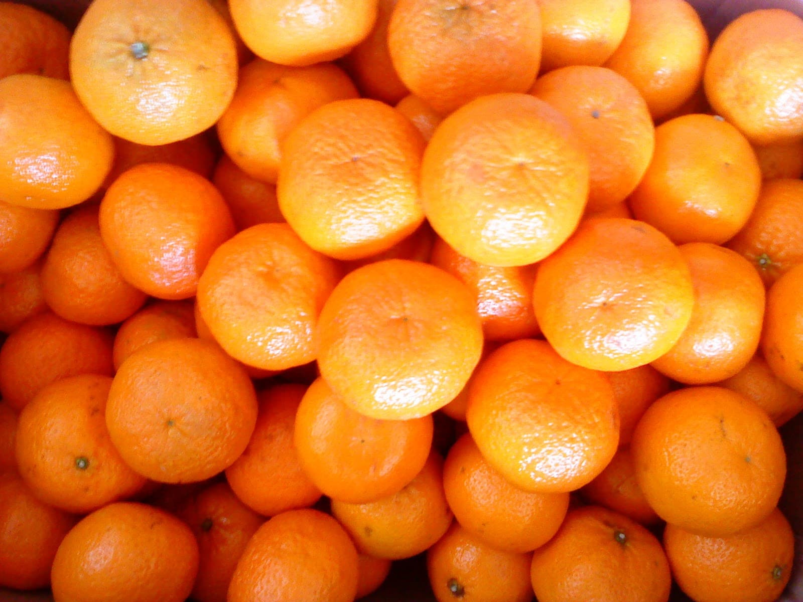 Fact Check: Orange is a fruit.