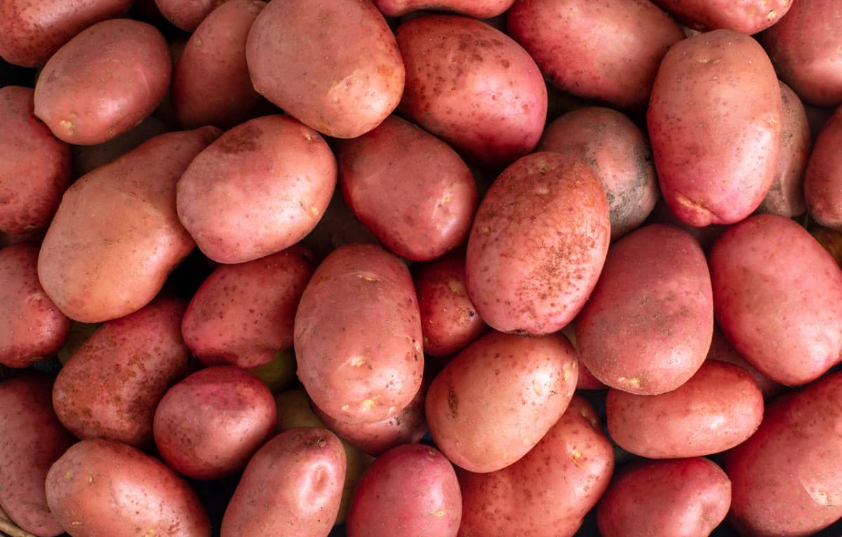 Fact Check: potatos are bad for health
