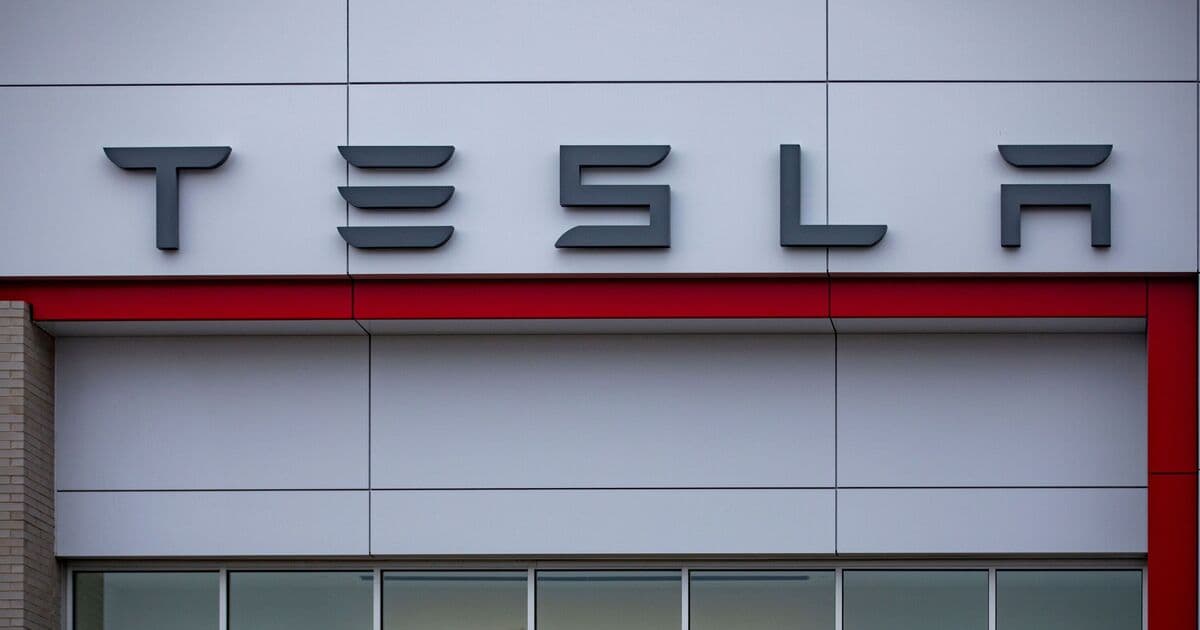 Fact Check: Tesla could go bankrupt from boycotts