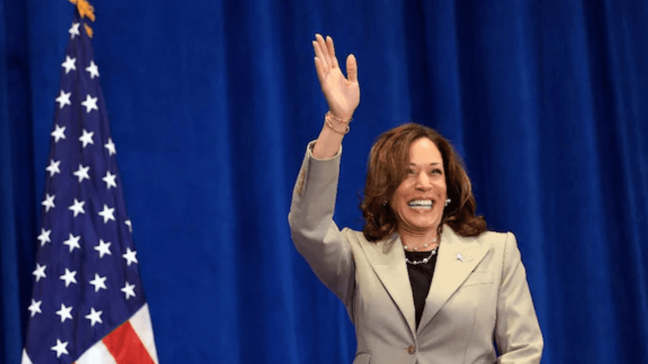 Fact Check: the 2024 US election was rigged