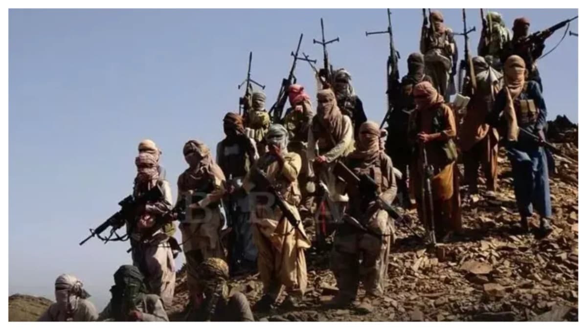 Fact Check: The Balochistan Liberation Army is a terrorist organization 