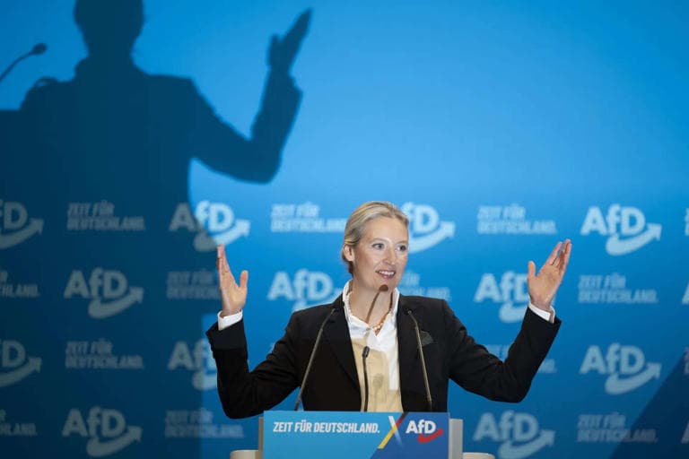 Fact Check: the german AFD party are neo nazis