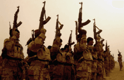 Fact Check: The iraq invasion was illegal