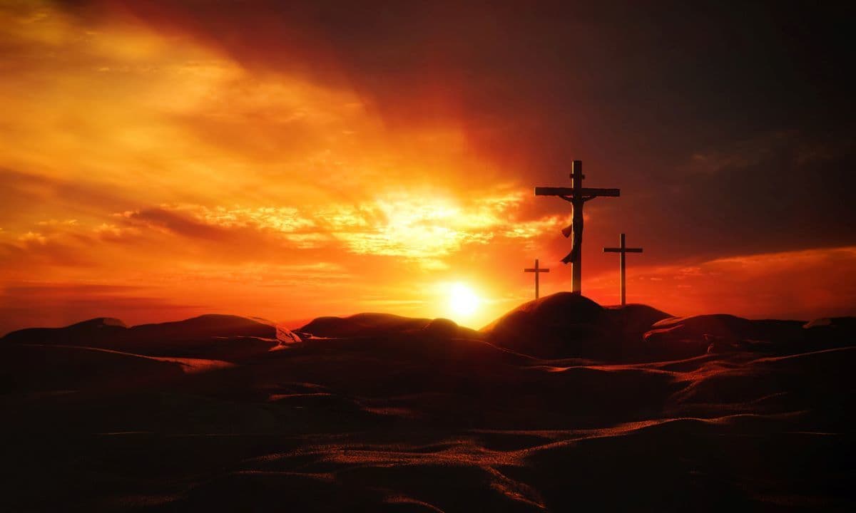 Fact Check: The jews killed jesus