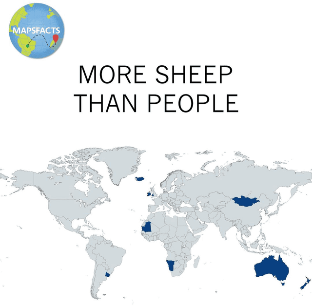 Fact Check: There are more sheep than cows in the world