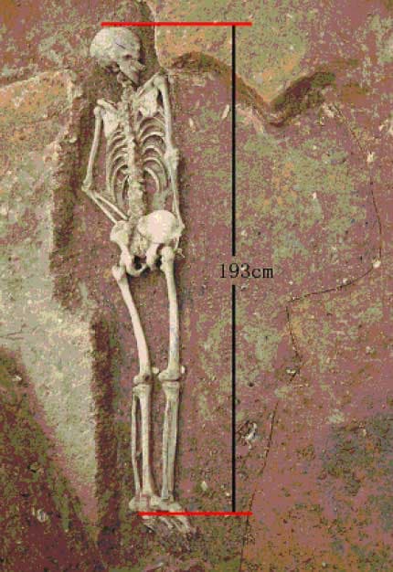 Fact Check: There were giants in the earth before