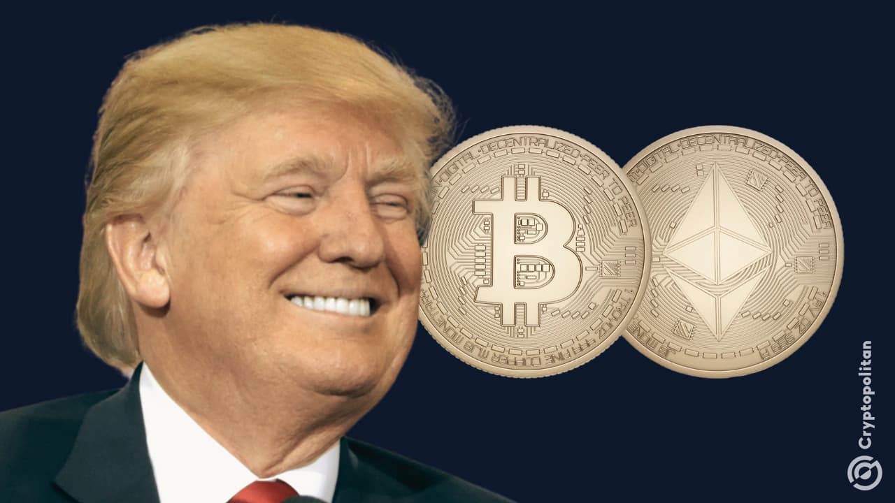 Fact Check: trump loves crypto