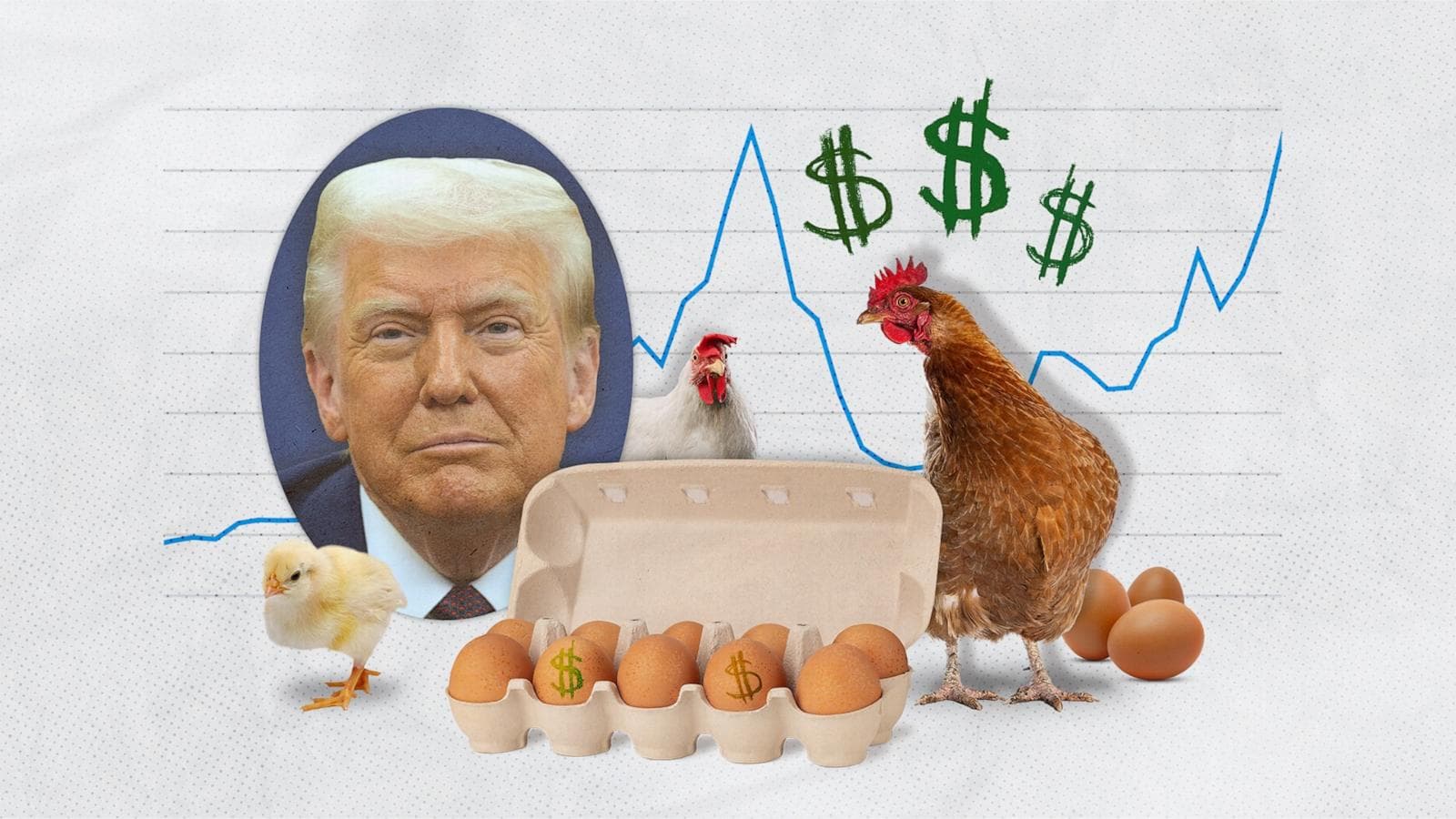 Fact Check: Trump will bring down the cost of eggs.