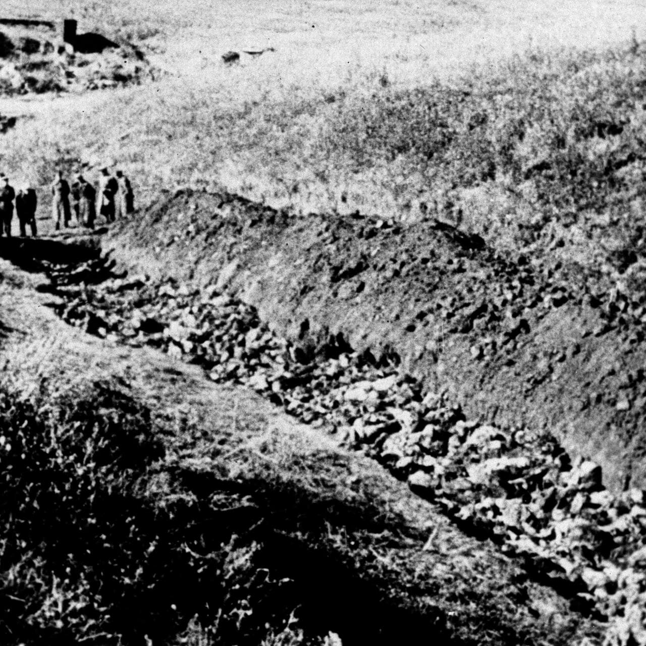 Fact Check: Ukraine helped with the concentration camps during the holocaust 