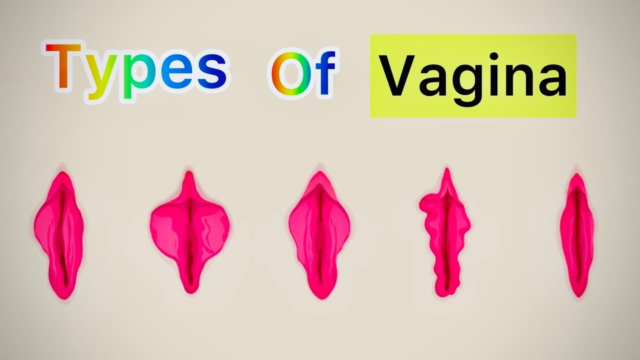 Fact Check: Vaginas exist