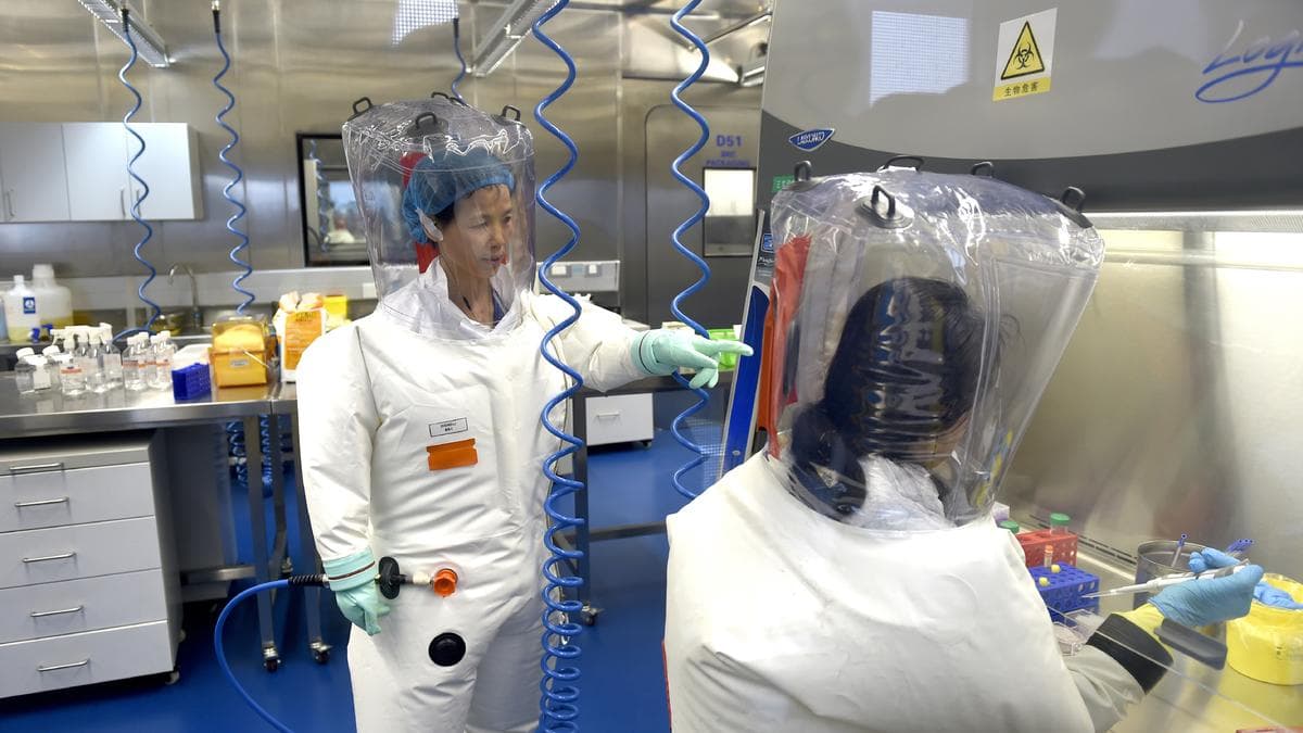 Fact Check: Was COVID-19 created by humans?