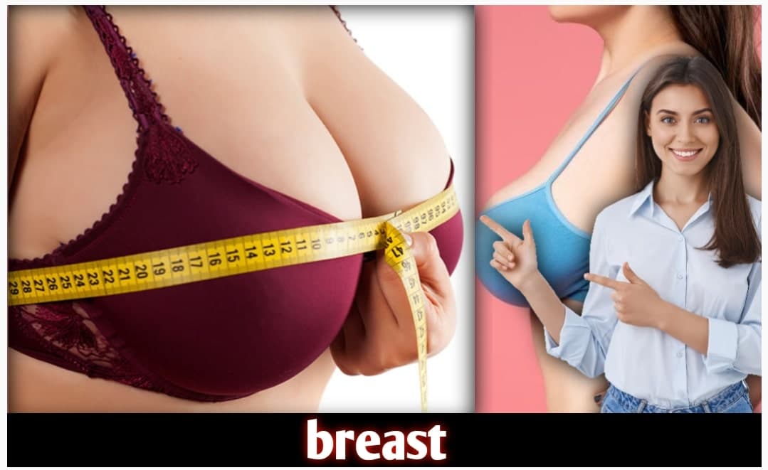 Fact Check: woman with larger breast are more horny that normal breast size woman