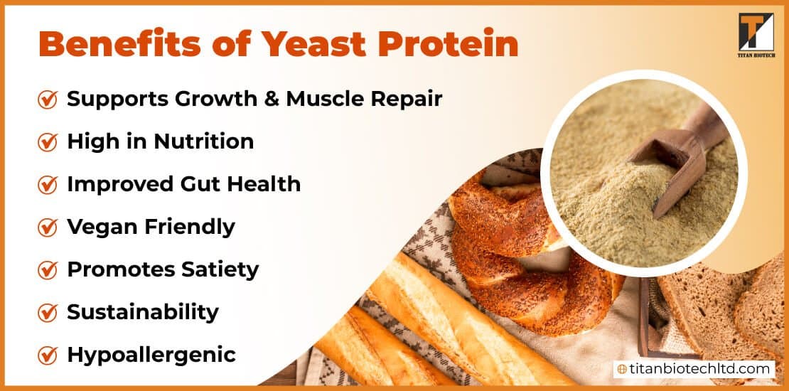 Fact Check: Yeast in bread can be beneficial to health? 